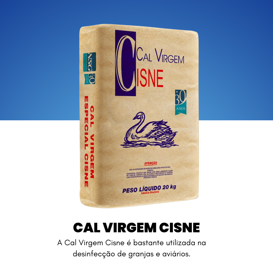 Cal vrigem cisne