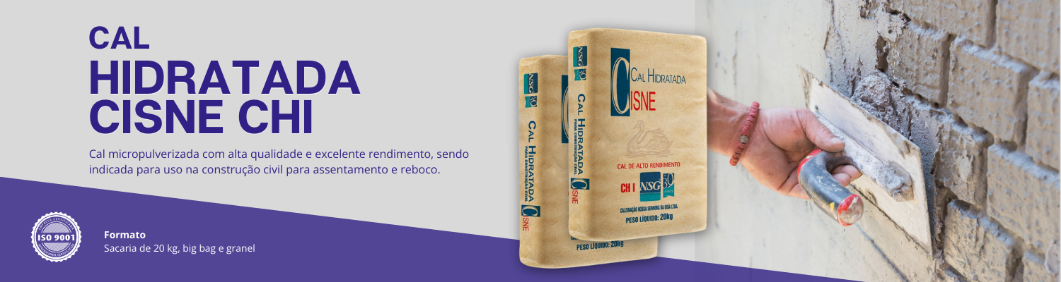 04. Cisne CH III
