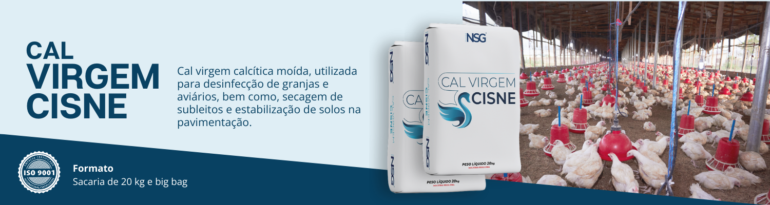 1. Cal virgem cisne