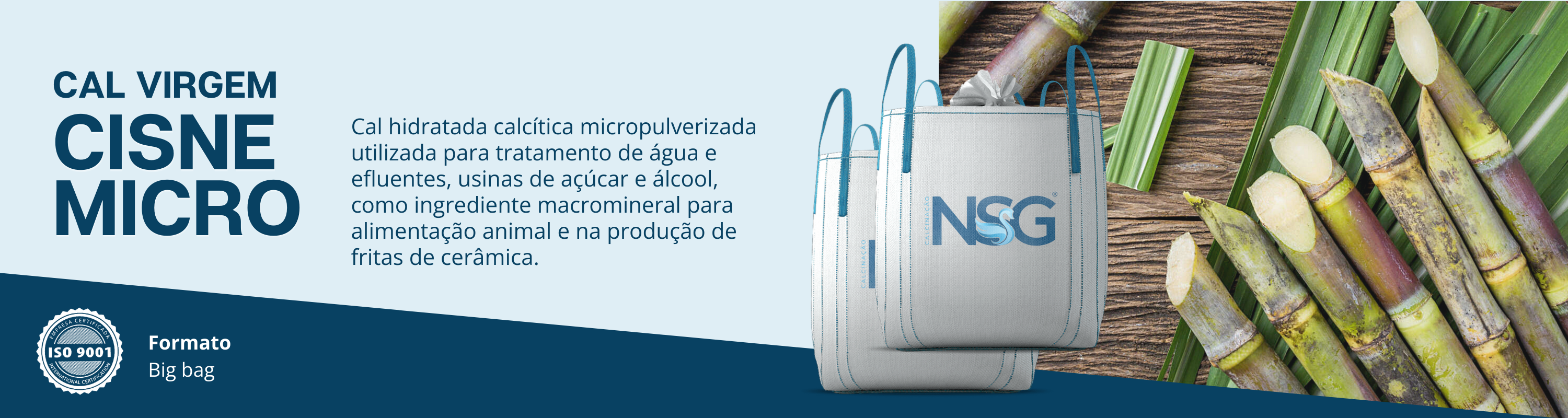 6. Cal Virgem micro